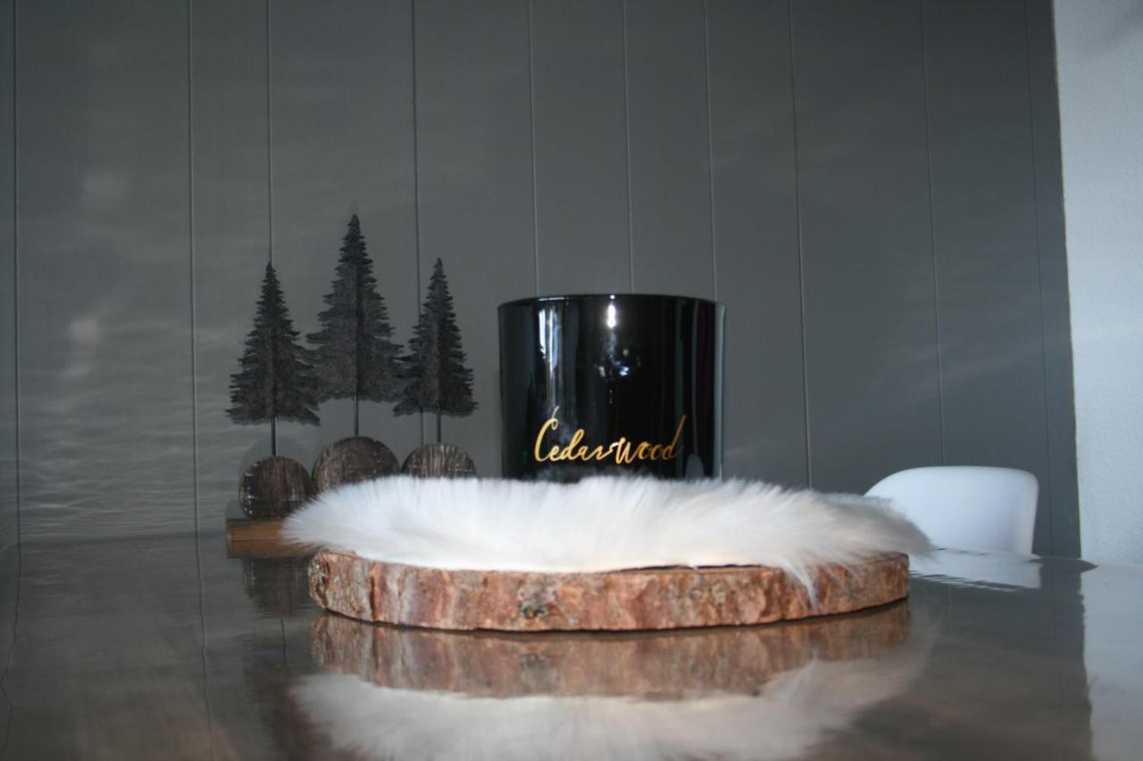 Le Flocon-Studio Cabine-Balcon 4-6 Pers A 100M Des Pistes シャンルッス エクステリア 写真