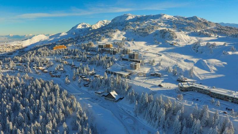 Le Flocon-Studio Cabine-Balcon 4-6 Pers A 100M Des Pistes シャンルッス エクステリア 写真