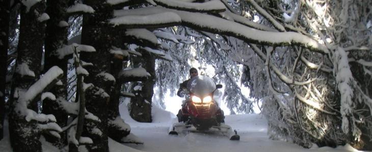 Le Flocon-Studio Cabine-Balcon 4-6 Pers A 100M Des Pistes シャンルッス エクステリア 写真