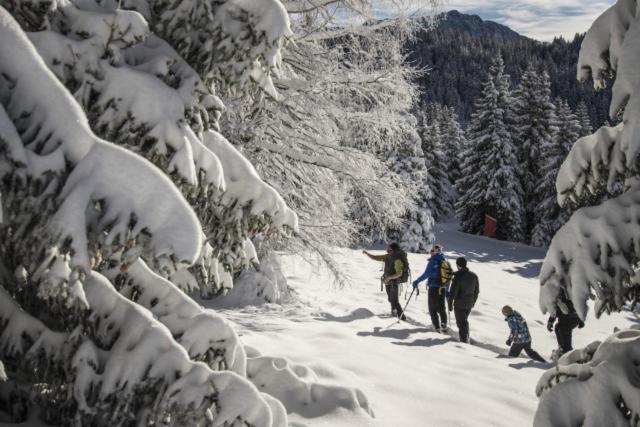 Le Flocon-Studio Cabine-Balcon 4-6 Pers A 100M Des Pistes シャンルッス エクステリア 写真