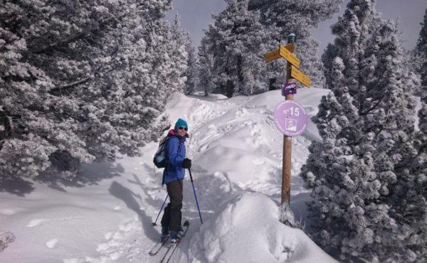 Le Flocon-Studio Cabine-Balcon 4-6 Pers A 100M Des Pistes シャンルッス エクステリア 写真