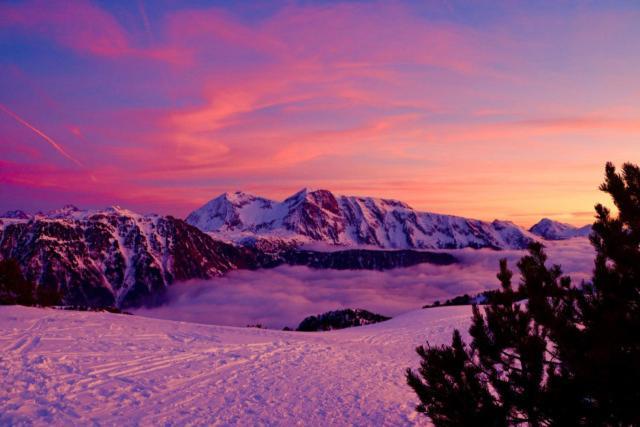 Le Flocon-Studio Cabine-Balcon 4-6 Pers A 100M Des Pistes シャンルッス エクステリア 写真